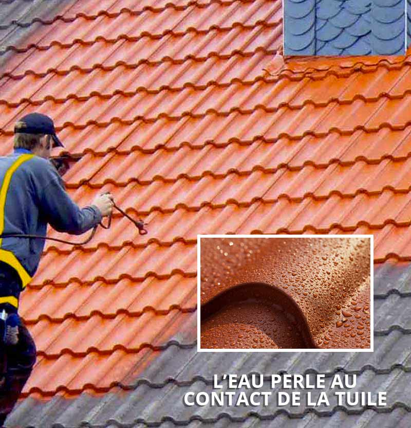 Nettoyage et démoussage toiture - MS TOITURE 64 dans les Pyrénées-Atlantiques (64) : nettoyage toit et protection anti-mousse. Revêtement peinture hydrofuge colorée sur couverture.