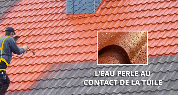 Nettoyage et démoussage toiture - MS TOITURE 64 dans les Pyrénées-Atlantiques (64) : nettoyage toit et protection anti-mousse. Revêtement peinture hydrofuge colorée sur couverture.